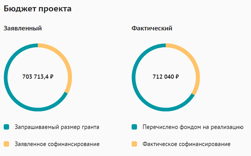 Бюджет проекта 2019